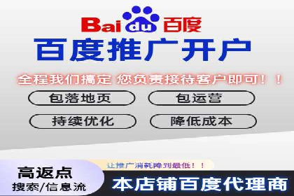 百度品牌广告的创意与执行案例